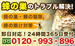 蜂の巣駆除 蜂の駆除 蜂のトラブル！ 0120-993-896／24時間対応／携帯OK