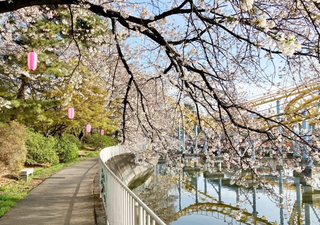 華蔵寺公園でイモビライザー付車の鍵を紛失した場合の対応